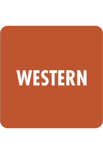 Library Stickers - Western (Pack of 324)